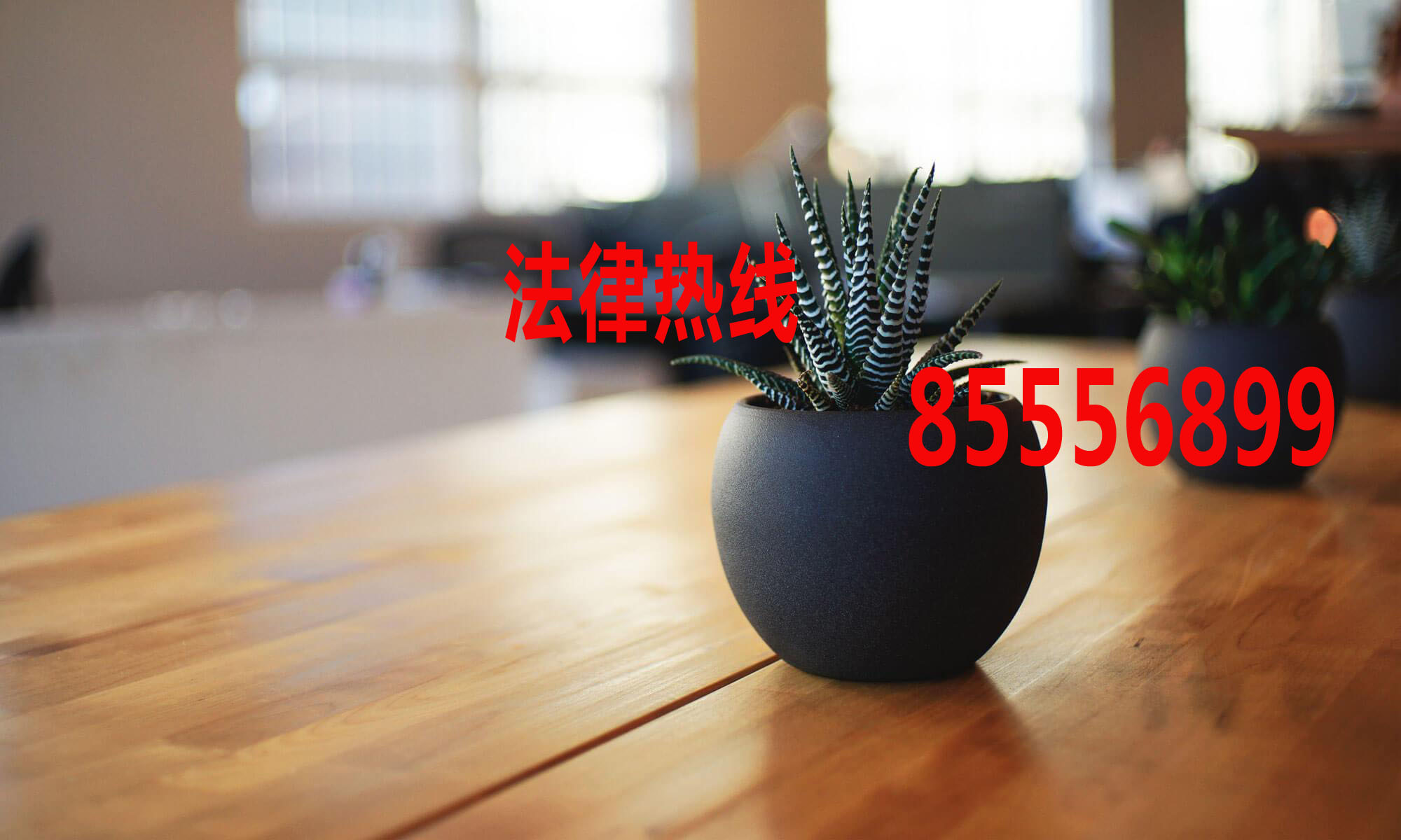 龙湾律师15356291688_温州市龙湾区律师